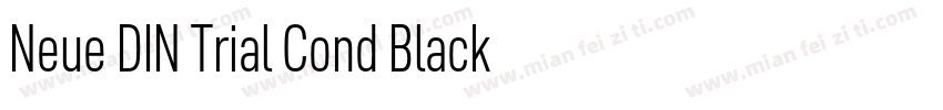 Neue DIN Trial Cond Black字体转换